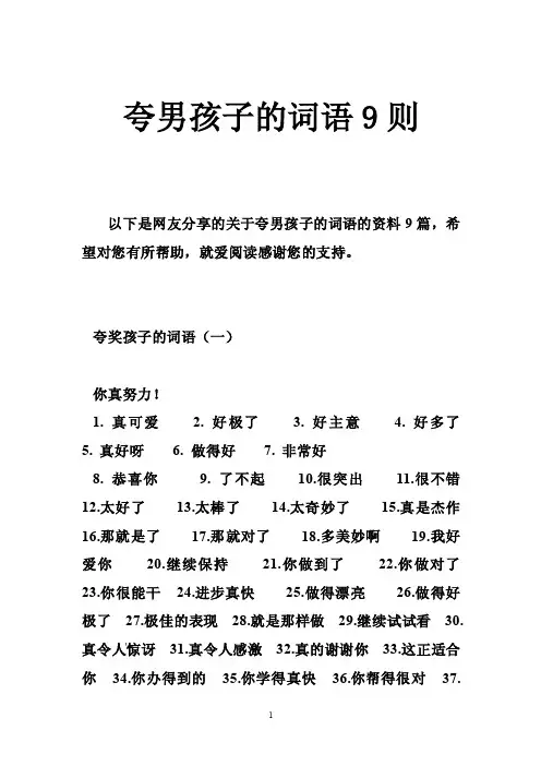 夸男孩子的词语9则