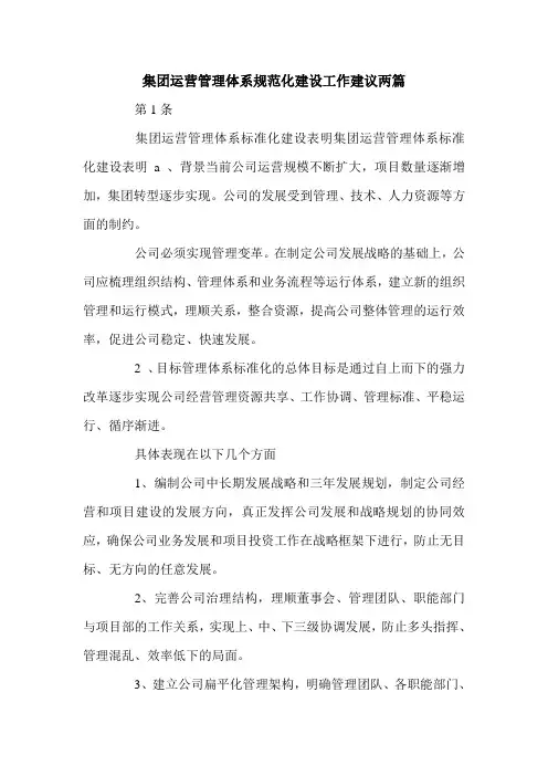 集团运营管理体系规范化建设工作建议两篇.doc