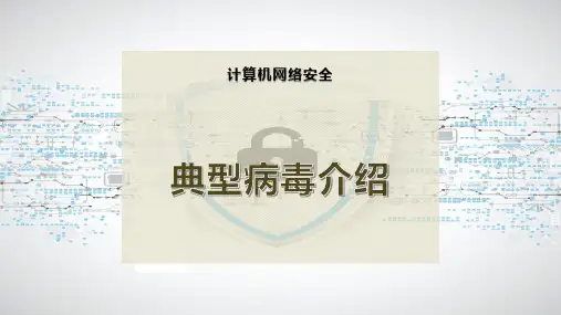 典型病毒介绍