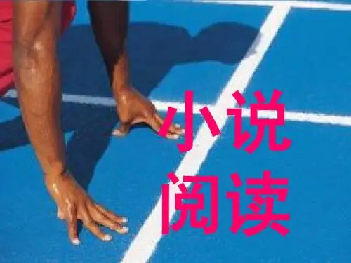 小说的阅读