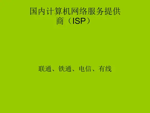 国内计算机网络服务提供商(ISP)