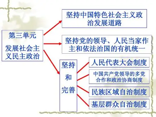 综合探究社会主义民主政治的特点和优势
