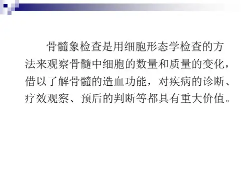 骨髓象解读