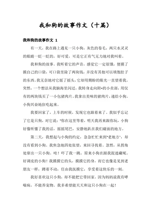 我和狗的故事作文(十篇)