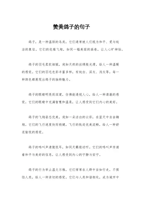 赞美鸽子的句子