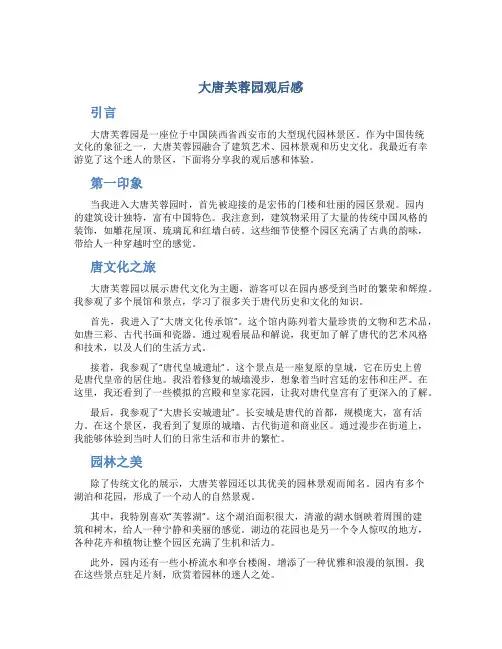 大唐芙蓉园观后感
