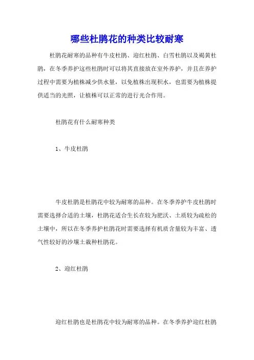 哪些杜鹃花的种类比较耐寒