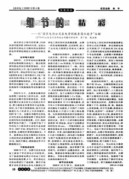 细节的精彩——记“国家电网公司农电营销服务岗位能手”丛锴