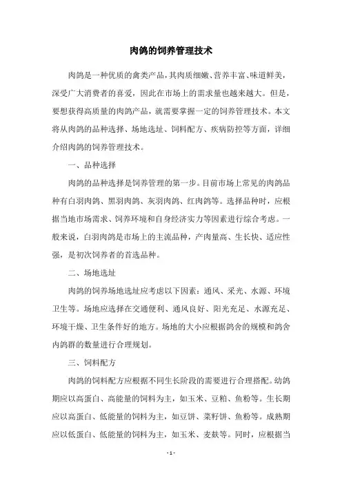 肉鸽的饲养管理技术