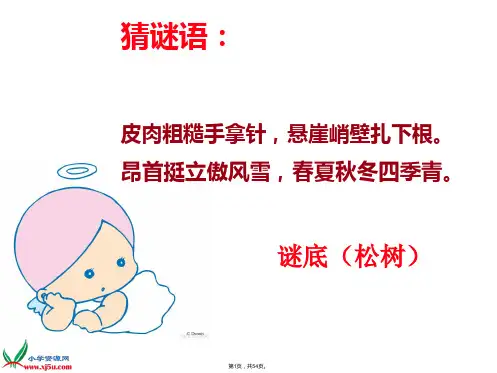 8、《小松树和大松树》课件