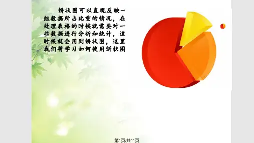 饼状图设计及制作PPT课件