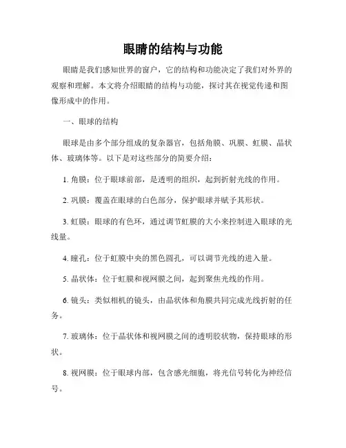 眼睛的结构与功能