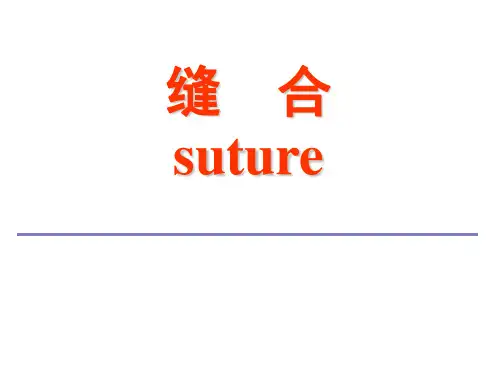外科手术基础之缝合1