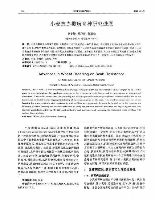 小麦抗赤霉病育种研究进展