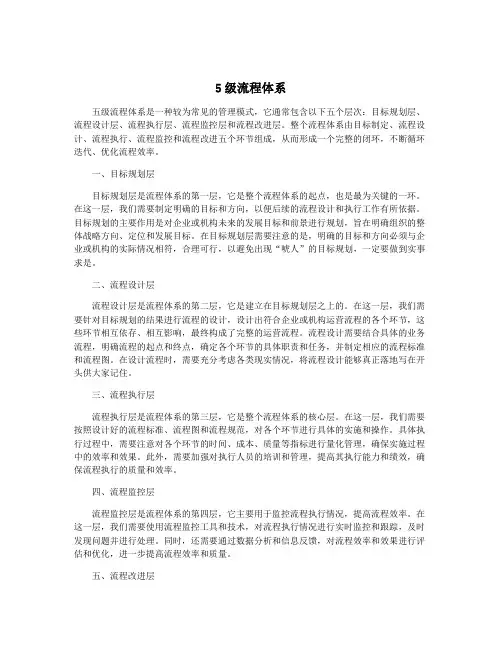 5级流程体系