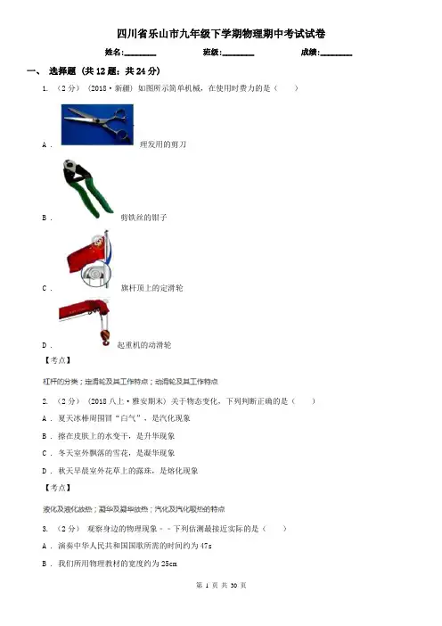 四川省乐山市九年级下学期物理期中考试试卷