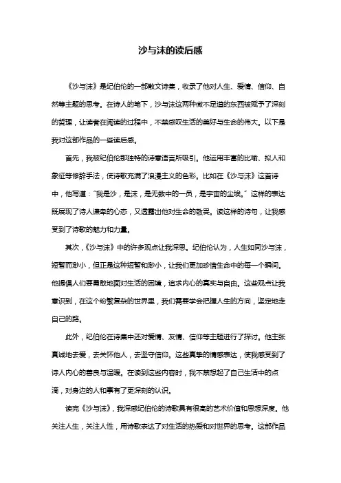 沙与沫的读后感