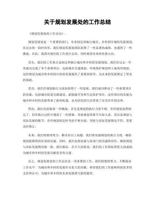 关于规划发展处的工作总结