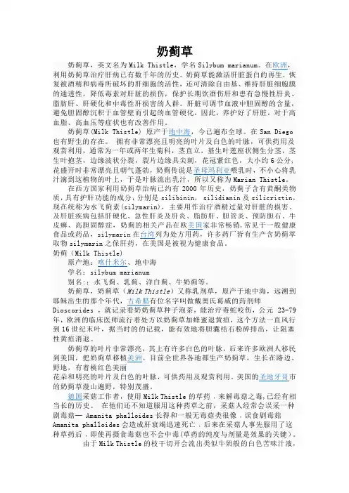 奶蓟草