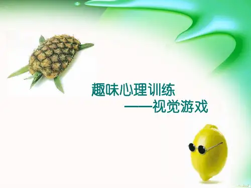 趣味心理训练——视觉游戏分析