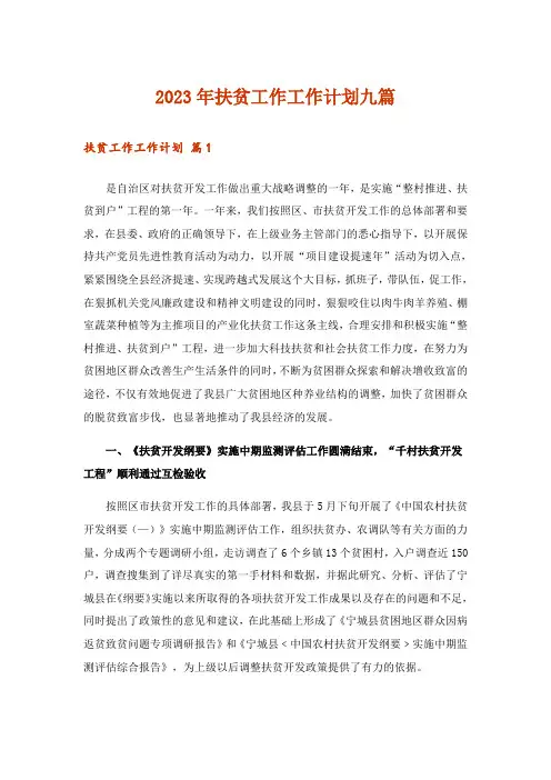 2023年扶贫工作工作计划九篇