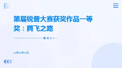 第届锐普大赛获奖作品一等奖：腾飞之路