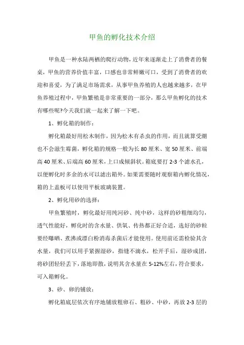 甲鱼的孵化技术介绍