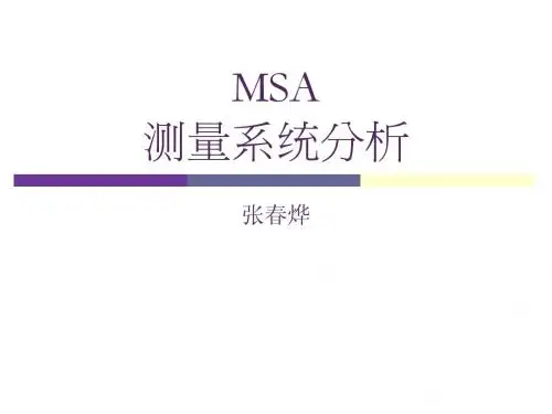MSA详细内容