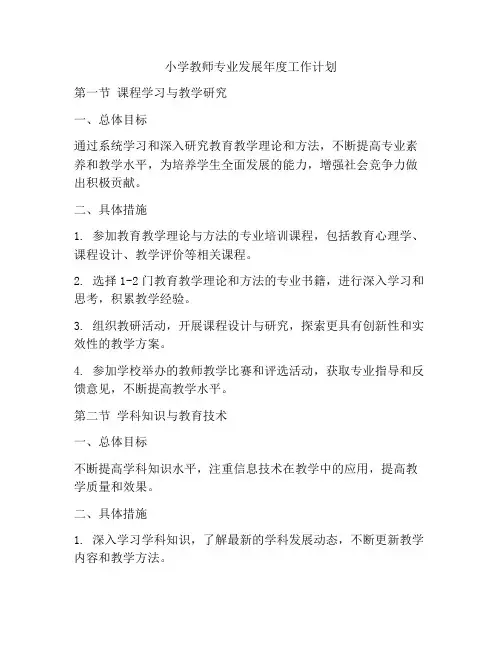 小学教师专业发展年度工作计划