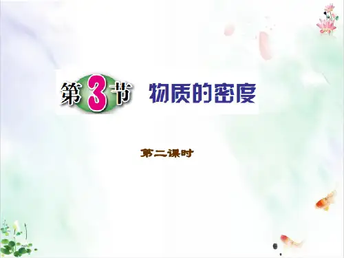 物质的密度两课ppt1