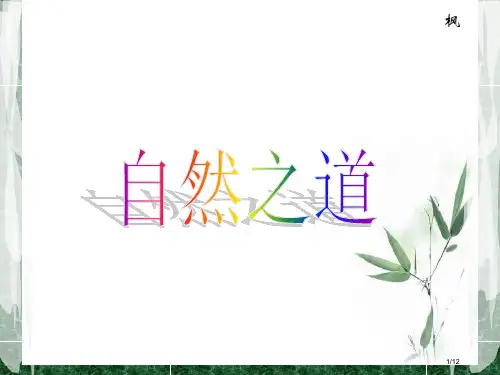 23.《自然之道》省公开课金奖全国赛课一等奖微课获奖PPT课件