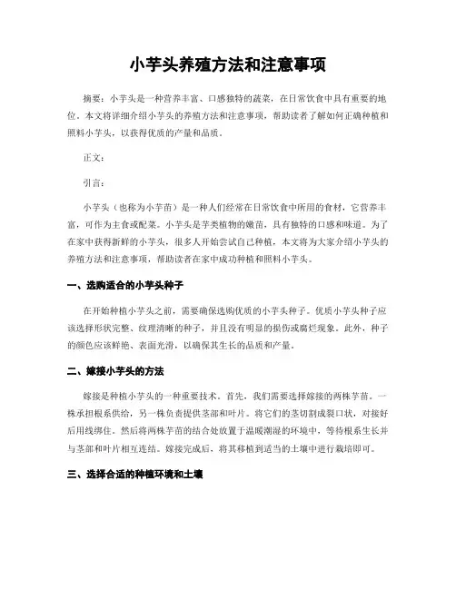 小芋头养殖方法和注意事项