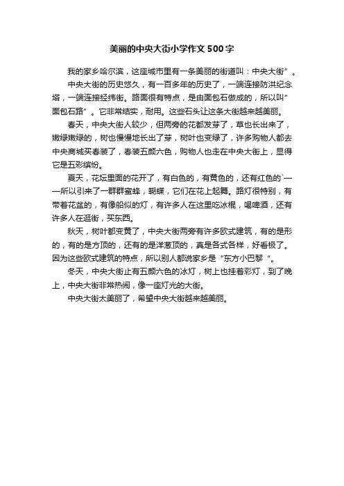 美丽的中央大街小学作文500字