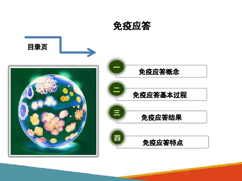 特异性免疫—免疫应答(动物微生物课件)