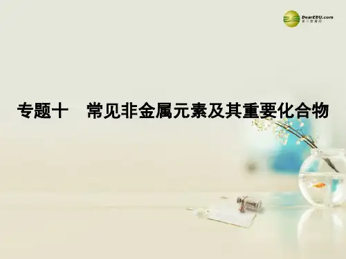 广东省高考化学二轮 上篇 专题10 常见非金属元素及其重要化合物自查课件