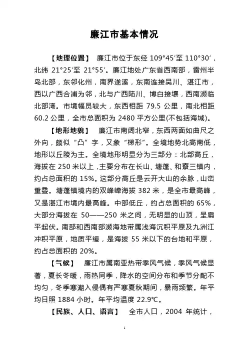 廉江市基本情况