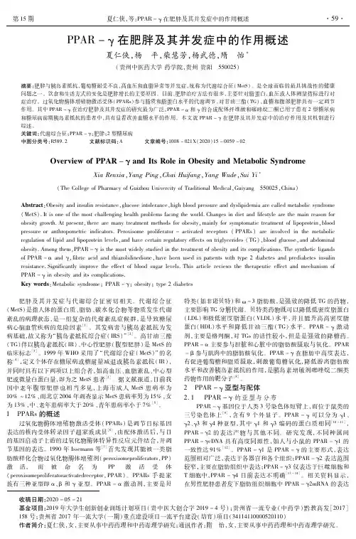 PPAR-γ在肥胖及其并发症中的作用概述