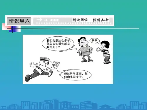 人教高中生物必修1课件：2.3《遗传信息携带者——核酸》(共35张PPT)