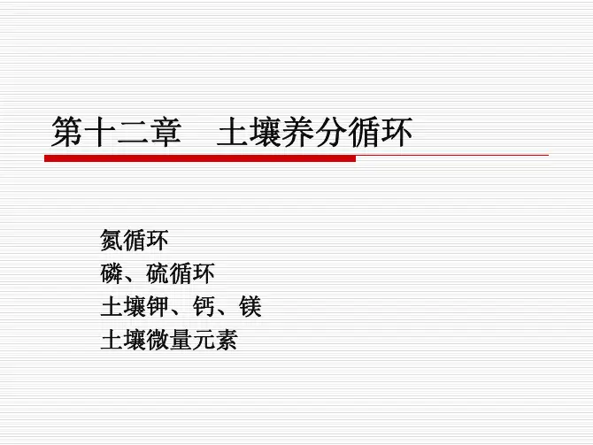 10土壤养分循环