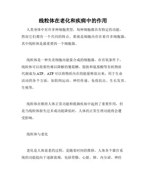 线粒体在老化和疾病中的作用