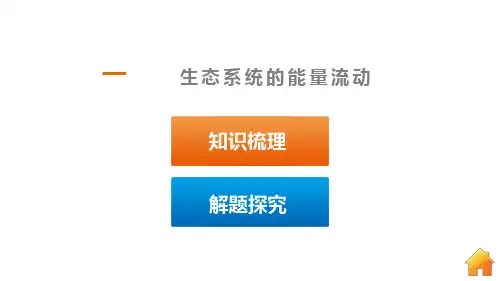 一轮复习能量流动和物质循环信息传递稳定性ppt课件