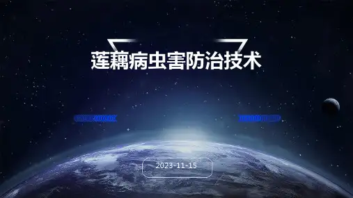 莲藕病虫害防治技术