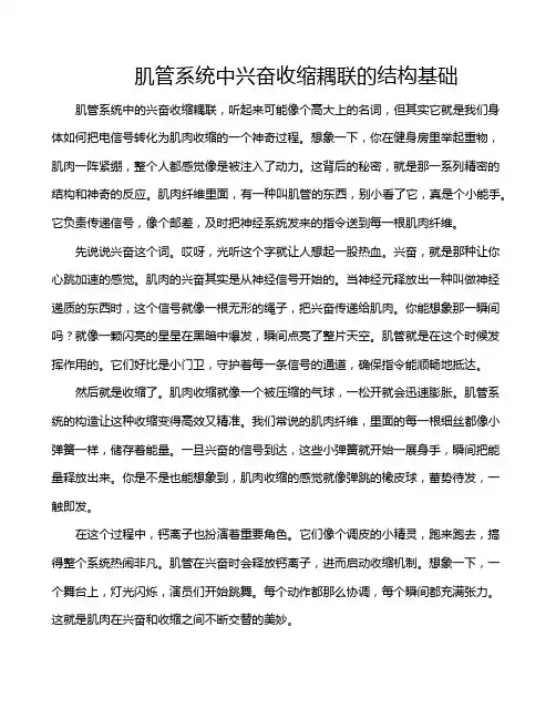 肌管系统中兴奋收缩耦联的结构基础