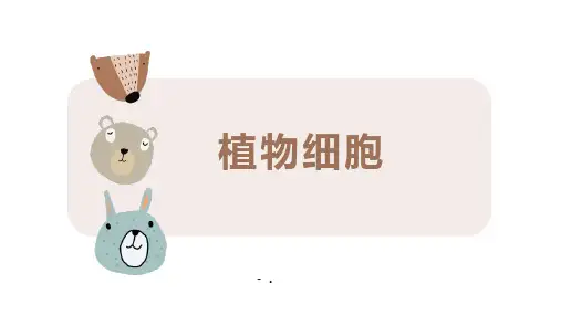 《植物细胞》PPT教学课件