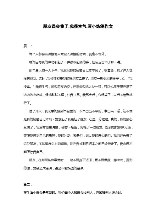 朋友误会我了,我很生气,写小练笔作文
