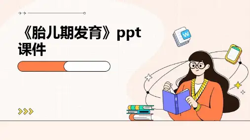 《胎儿期发育》课件