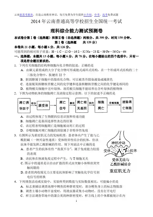 2014年云南普通高等学校招生全国统一考试理综卷