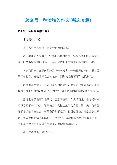 怎么写一种动物的作文(精选6篇)