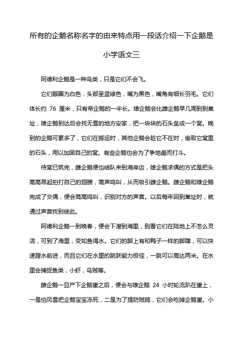 所有的企鹅名称名字的由来特点用一段话介绍一下企鹅是小学语文三