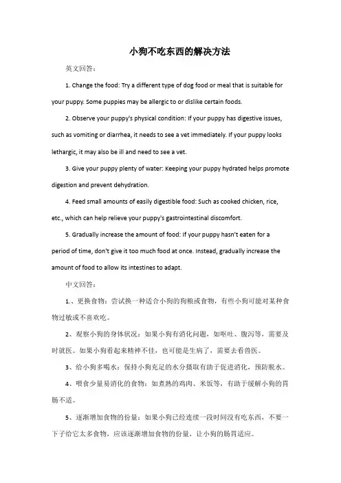 小狗不吃东西的解决方法